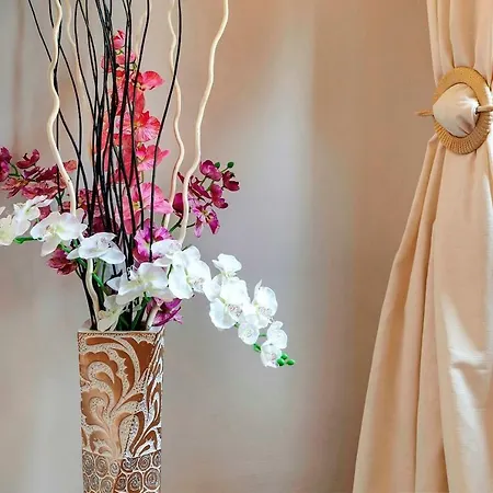 Lilium Elegant
