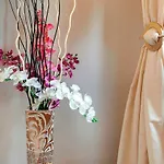 Lilium Elegant
